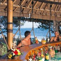 Bamboo bar